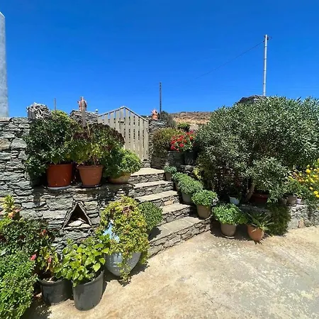 Lemon - Faros, Sifnos