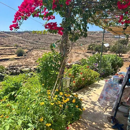 Lemon - Faros, Sifnos * פארוס
