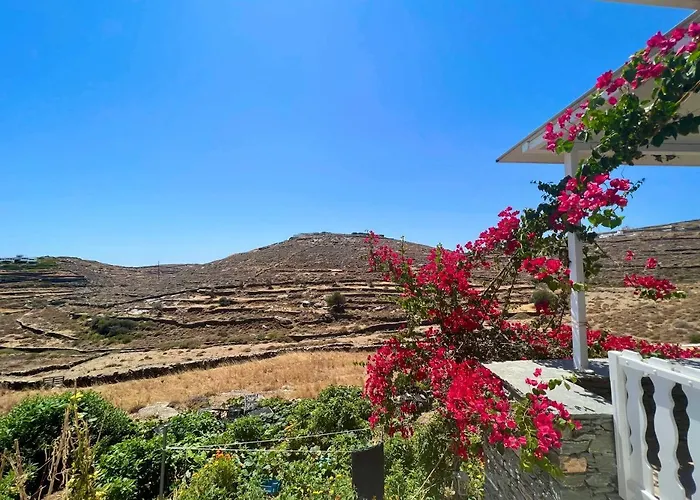 Lemon - Faros, Sifnos 別荘 *