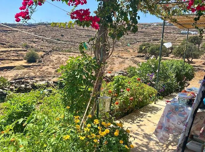 Lemon - Faros, Sifnos * ファロス